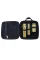 Кейс для хранения машинки триммера и шейвера BaByliss PRO 4rtists FXCFXCASE3E