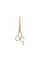 Ножницы парикмахерские прямые 5.5 Jaguar Silver Line CJ4 Plus "Natural Vibes" J-9255-10