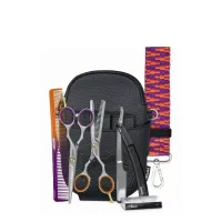 Набор парикмахерских ножниц Jaguar Ergo Set Stage Is Yours 5.5 J-8393