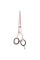 Ножницы парикмахерские прямые 5.5 Jaguar White Line Pastell Plus Offset Rose J-4752-8